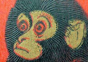 金价大涨 投资收藏类金币“春风来”