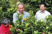 大学教师做果农的“技术导师”