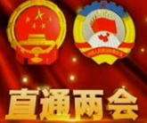 中国经济不会&ldquo;断崖式&rdquo;下跌