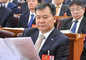 张近东2016政协工作报告感言