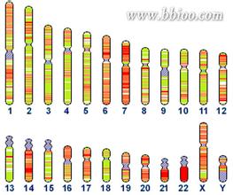 江西首次发现人类染色体异常核型