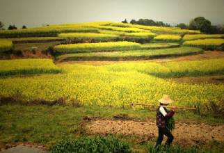 人人有份 份份明晰