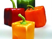 陈锡文：西红柿、辣椒、紫薯等皆非转基因农产品