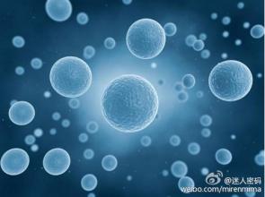 科学家利用干细胞治疗脊髓损伤取得新进展