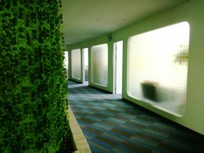 京津冀共建“绿色设计走廊”　助力提升区域“绿色颜值”