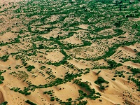 沙漠治理迈入机械化时代