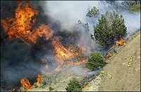 甘肃达拉林场森林火灾继续蔓延 直升机参与扑救