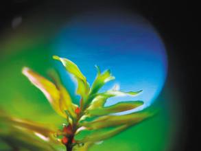 四川去年弃水电量创历史新高