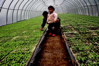 环保产业更需&ldquo;绿色动力&rdquo;