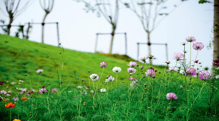 险资重大股权投资需核准