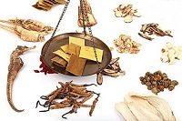 李振江:建议国家大力打造河北省中医药强省