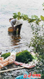 走进西双版纳美丽的傣家村寨