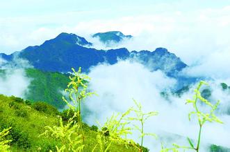 西安市市长上官吉庆一席谈：破解城市病　建品质西安