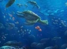 动画电影《海底总动员2：寻找多莉》发布新海报