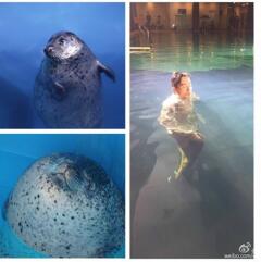 李光洁水下呆萌似海豹 网友神PS成搞笑“海报
