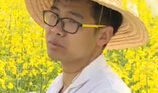 大学生实验田油菜花被游客摘 或无法毕业