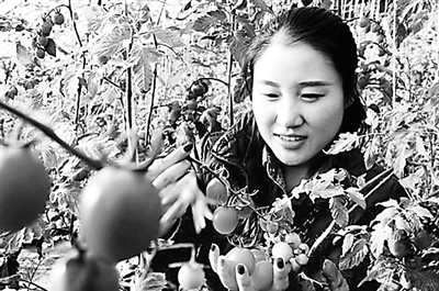 花儿瓜果带火&ldquo;大棚旅游&rdquo;