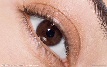 办公室一族必学护眼食疗