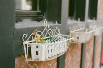 文化部部长：贫困地区十三五末要实现文化小康