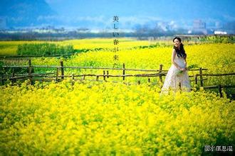 22条措施确保云南开好局