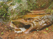 四川千年石龙将现身 疑暗指张献忠千船沉银