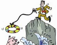 又现“挂羊头卖狗肉”基金 农银信息传媒与诺安低碳经济选股依据啥？