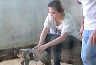 谢依霖被赞贤妻良母 直言：我很快就嫁出去了