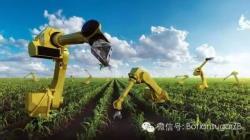 中国粮食供给处于&ldquo;紧平衡&rdquo;状态