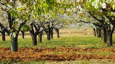 凤翔推进工业升级 建设实力强县