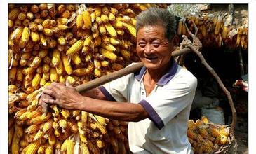 农民何时不再蹭&ldquo;热点&rdquo;