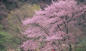 随处走一走，身体不断好