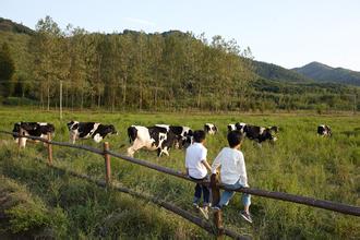 农民春耕备种有三问 技术专家来支招