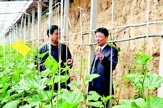 农业嘉年华 &ldquo;智&rdquo;造趣味多