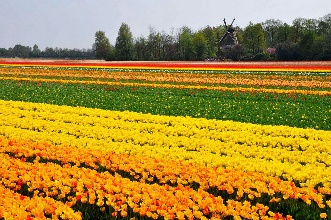 服务沉下去人气聚起来