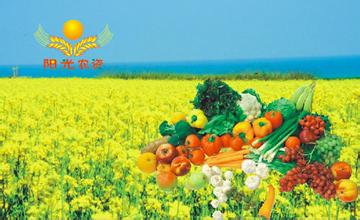 河南 小麦加工大省的痛与治