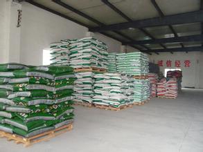 山东企业建大棚菜农来承租