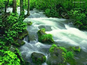 “为水行走”留下长久印迹  继续开展水印计划公益项目