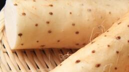 山药5类人最宜吃的补品