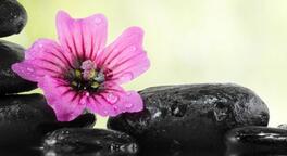 女人春季养生方法 早睡早起身体好