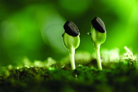 帮返乡&ldquo;新农人&rdquo;跨过三道坎