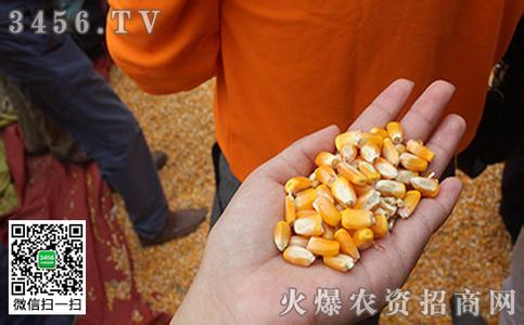 农家乐、民宿等列入浙江省职工疗休养报销范围