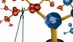 这些求救信号或预示肿瘤 警惕癌症误区