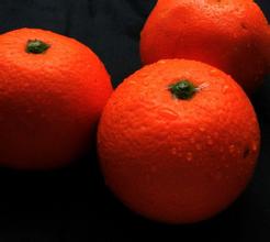 全国首创：青岛地理标志产品将导入高速服务区