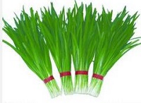 初春吃韭菜正当时！原来韭菜也是通便良药