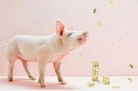 猪肉价格“寒热病”呼唤全科处方