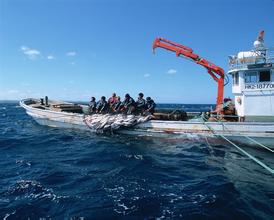 &ldquo;找鱼网&rdquo;带您找渔