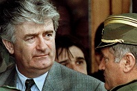 俄外交部：卡拉季奇的判决量刑过重 犯罪的不只一方