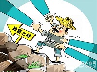 脱贫攻坚战应以“准字当头、实字护航”