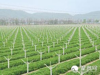 兰州大力发展高效节水灌溉农业