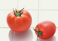 男士吃西红柿的好处 如何选购最好的西红柿